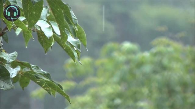 Relaxing reading Quran to the sound of rain _ Surah 55 Ar-Rahman _ Omar Hisham смотреть онлайн