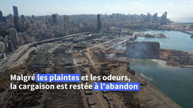 Beyrouth: la destruction du port vue du ciel | AFP смотреть онлайн