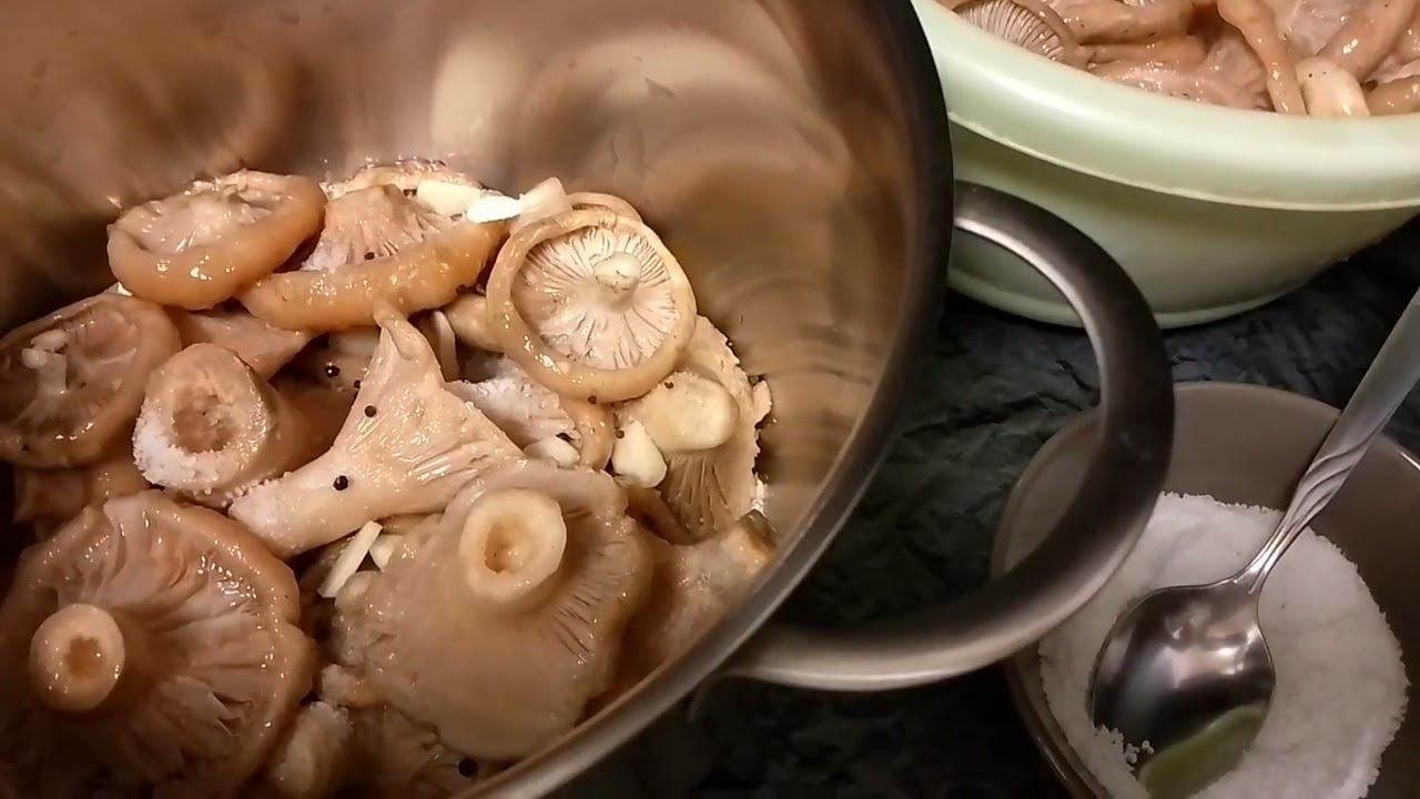 засолка белых груздей холодным способом смотреть онлайн