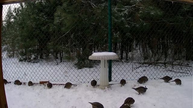 Sample captured HD video from Hikvision DS-2CD2032-I смотреть онлайн