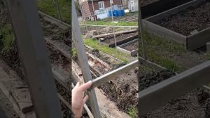 теплица с дверью купе.