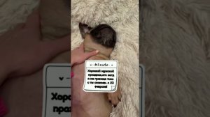 С праздником 23февраля!)