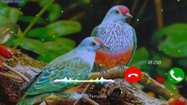 New ringtone 2020, Love ringtone, Best ringtones, Hindi ringtones, Mobile ringtones, Flute ringtone смотреть онлайн