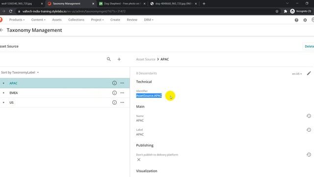 Import Assets using Excel in Sitecore Content Hub смотреть онлайн