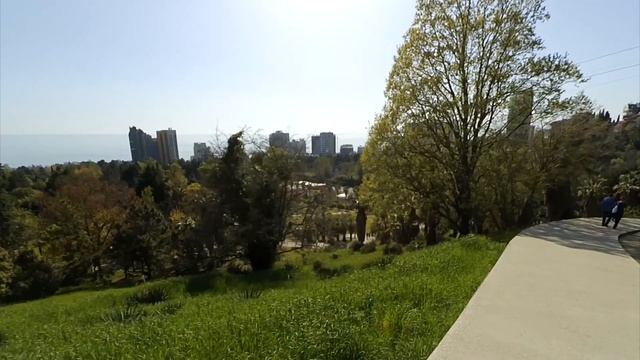 Переезд в Сочи | Прогулка в Дендрарий | Природа в Сочи смотреть онлайн