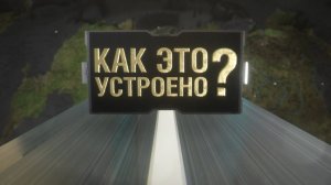 Как это устроено? Миграция оленей: к Карскому морю через Бованенково.