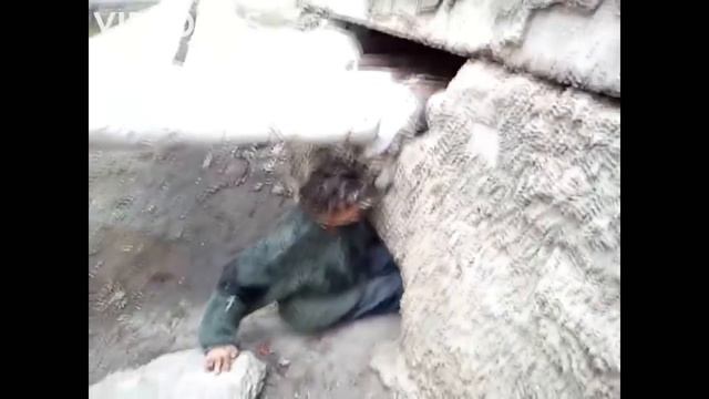 Гробница тутанхомона смотреть онлайн