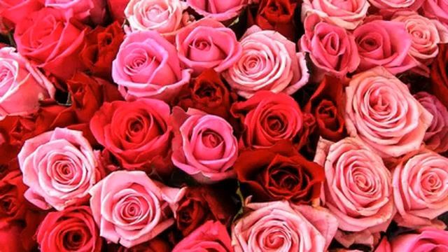 Море лучших русских новинок европа плюс 2015 смотреть онлайн