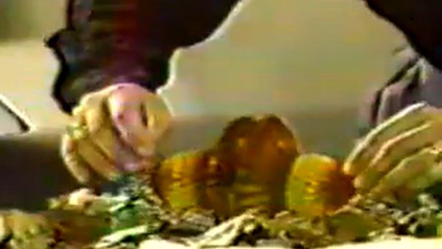 Anna and Duke - Thanksgiving '87 смотреть онлайн
