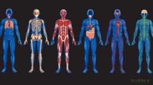 СОЛЬ - Как добывают? Удивительное Производство!