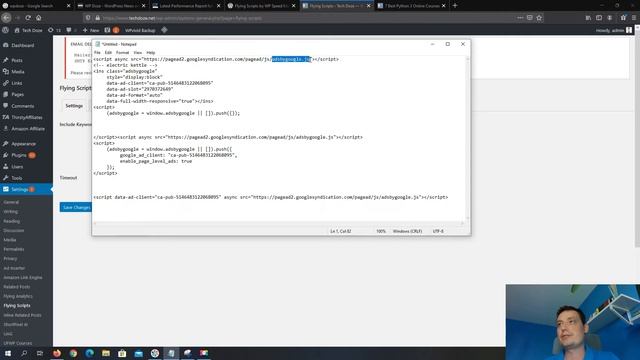 How To Delay Google Ads And Increase Site Performance in WordPress смотреть онлайн