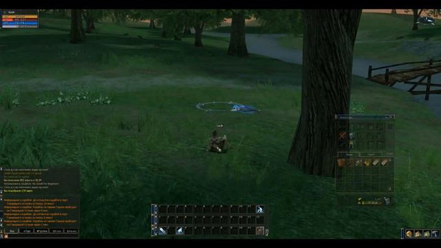 Играем в ла2. Вспоминаем детство! Lineage2 Interlude