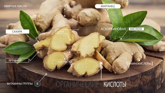 ВСЯ ПРАВДА ОБ ИМБИРЕ! Почему его едят китайцы? смотреть онлайн
