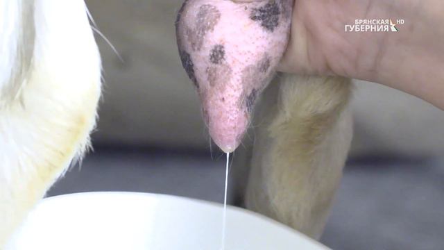 ФЕРМАчи. Козья ферма смотреть онлайн