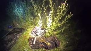 Подводная охота ночью на реке Дон. Лето