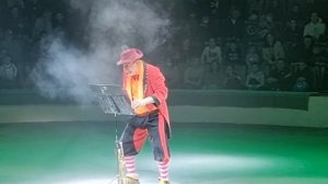 Ростовский цирк Ярослав Запашный Тигры на земле и в воздухе