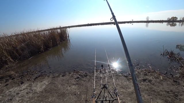 ЗАКРЫТИЕ СЕЗОНА РЫБАЛКИ 2019 на РЕКЕ!!!ДИКИЙ САЗАН порадовал!!! смотреть онлайн