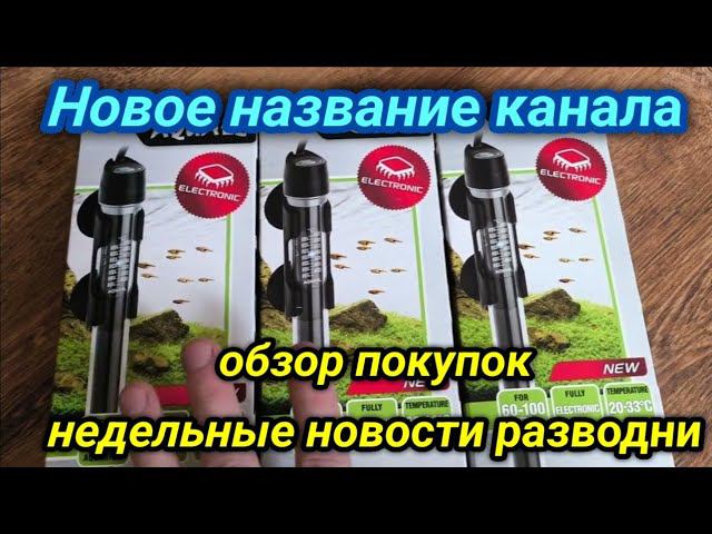 Итоги опроса и недельные новости разводни смотреть онлайн