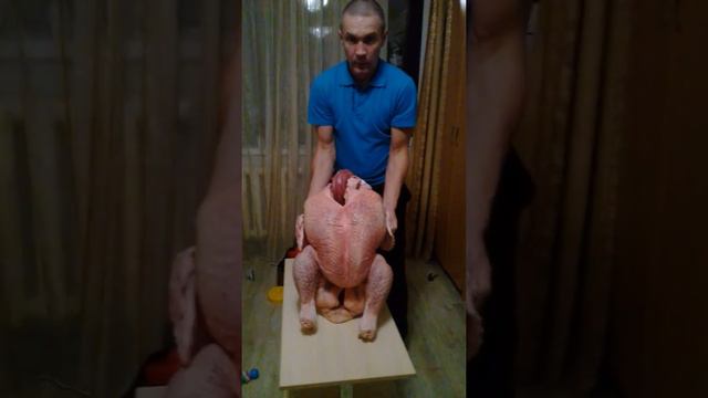 Купили цыплёнка. смотреть онлайн