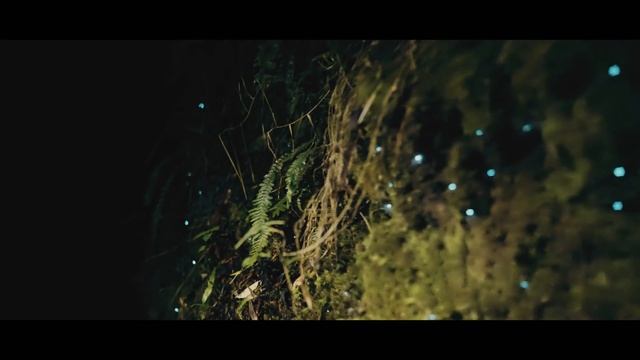 Sony A7S III Adventure Film | First Cinematic 4K Footage Reveal
