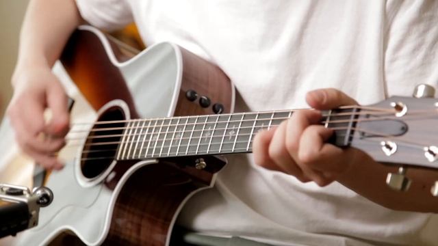 Честный обзор на 4 гитары TAYLOR! Стоят ли они этих денег?!