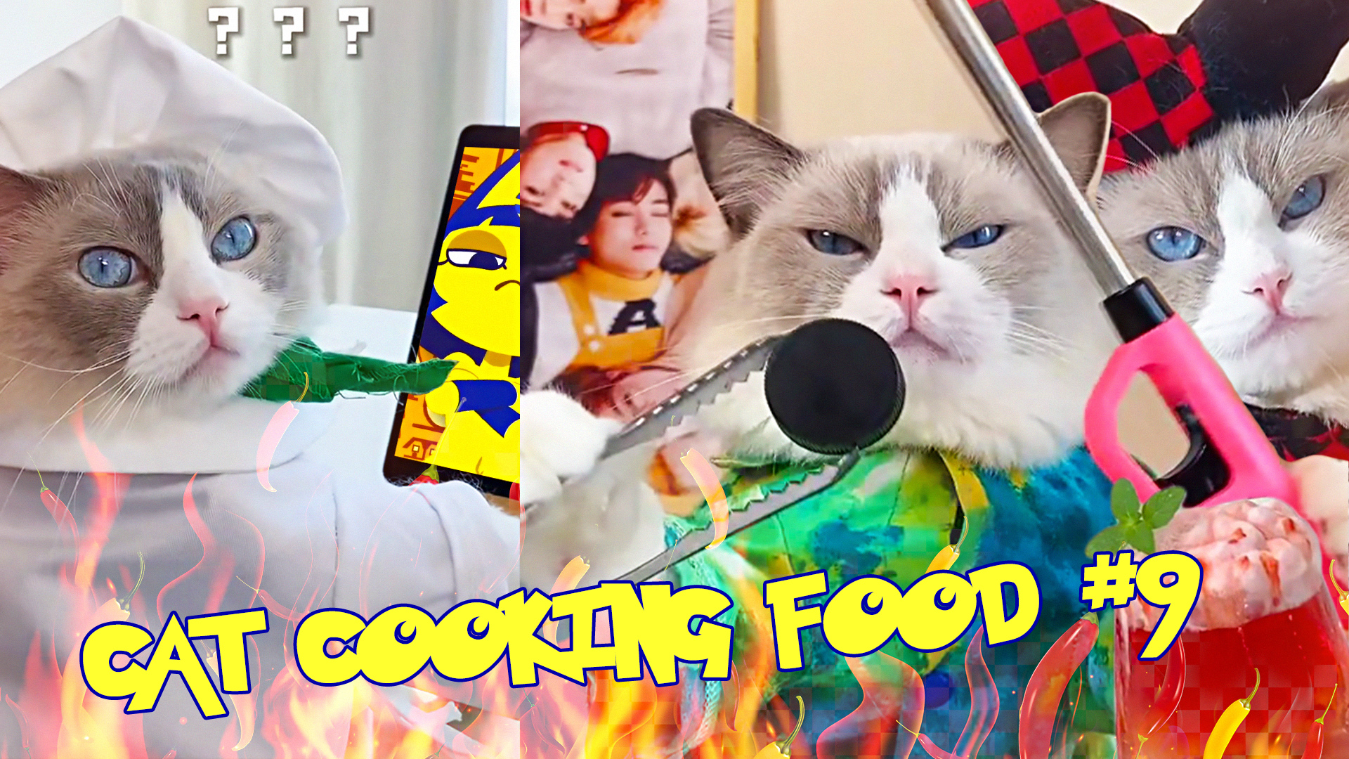 Кот готовит еду #9 (funny cat cooking actions) Рецепты от кота смотреть онлайн