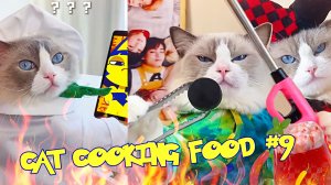 Кот готовит еду #9 (funny cat cooking actions) Рецепты от кота