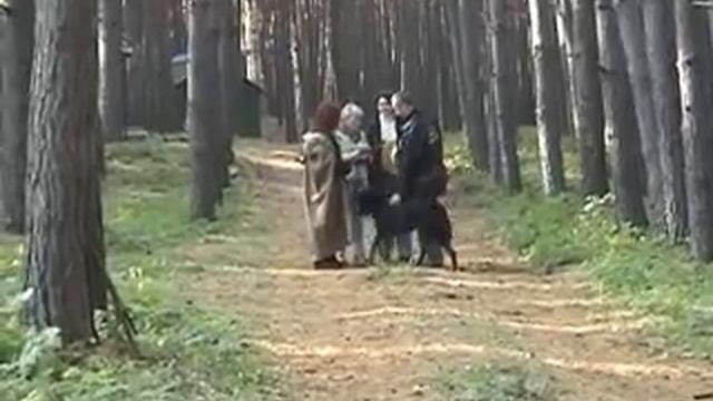 Hovawart Darkflame Akiro тестирование.wmv смотреть онлайн