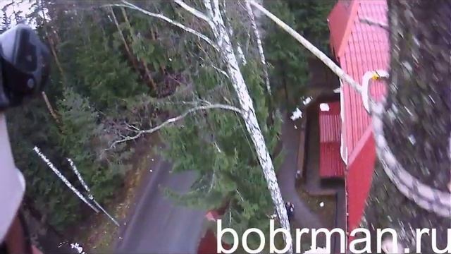 Ошибка арбориста. Arborist's Error...