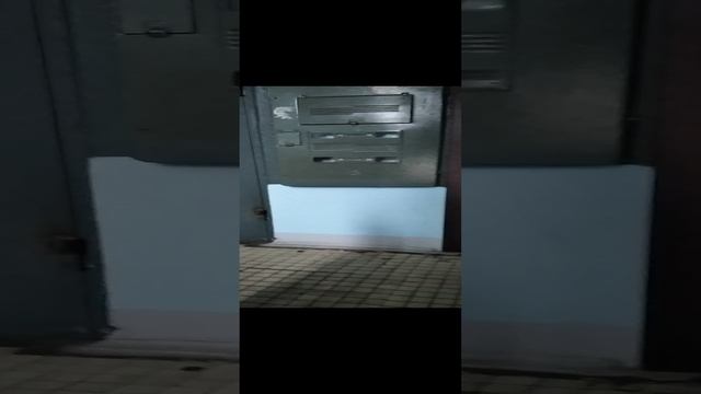 VID_20231115_133427 смотреть онлайн