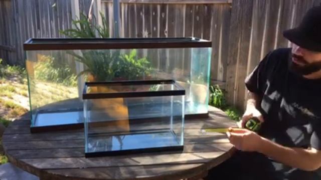 How to tell how many gallons a fish tank is. смотреть онлайн