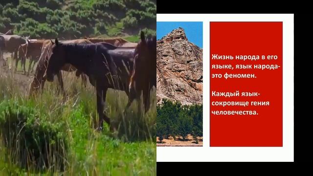 классный час 23 сентября День КЫРГЫЗСКОГО ЯЗЫКА смотреть онлайн