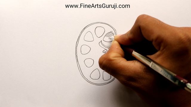 How to draw Kidney step by step for beginners! смотреть онлайн