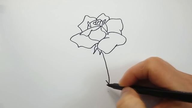 Как Нарисовать Розу поэтапно - Рисование для начинающих - Рисуем Цветы смотреть онлайн