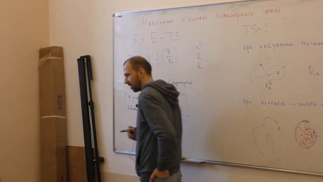 Тамм М. В. - Физика полимеров - Набухание и коллапс полимерных цепей смотреть онлайн