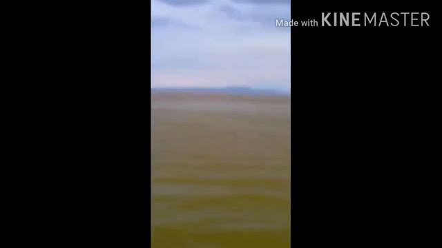 IPO IPO NAMATAAN SA LAGUNA DE BAY смотреть онлайн