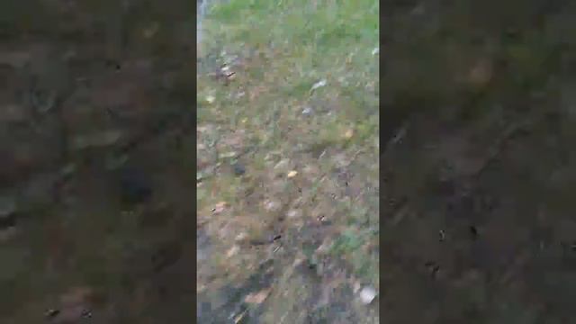 Мы снимаем мальчиков на природе они не подозревают скрытая камера смотреть онлайн