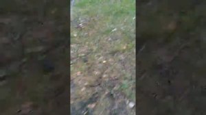 Мы снимаем мальчиков на природе они не подозревают скрытая камера