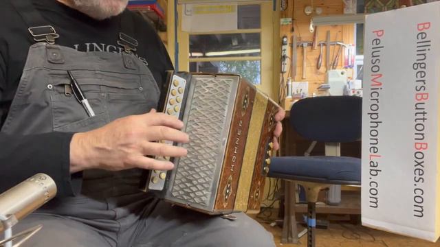 Hohner burl GC button accordion #580 (sold) смотреть онлайн