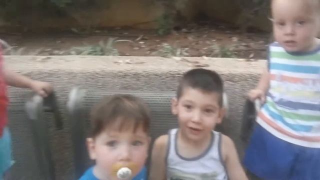 25 июня 2016 г.