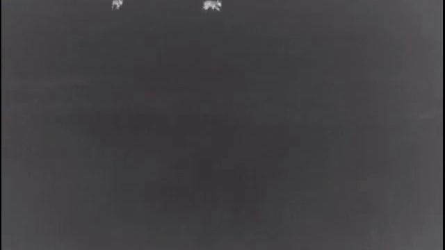 Редчайший случай. Сразу двоих. Охота на волка в Беларуси. Видео тепловизор pulsar helion xp50 смотреть онлайн