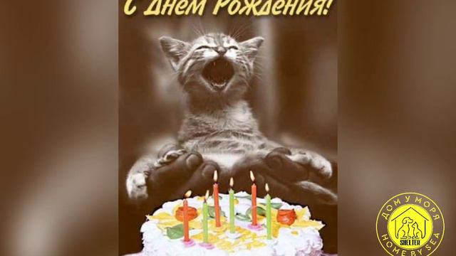 с днём рождения Гуля смотреть онлайн