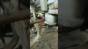 Муравей двигатель от дельты Альфа 110 куб