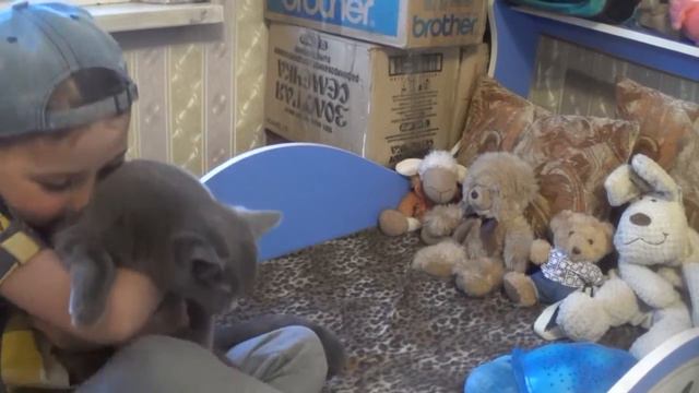 Короче говоря,я остался один дома смотреть онлайн