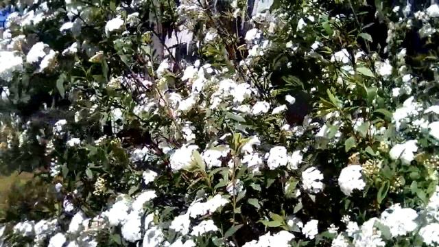 Весна в Туапсе смотреть онлайн