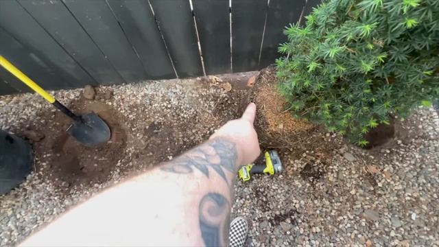 I saved $555 on these 3 plants!! ? || visit our garden смотреть онлайн