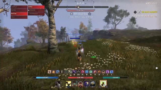 Unleashing the Power of Templar Healing in ESO PvP смотреть онлайн