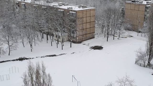 Правила без опасности! смотреть онлайн