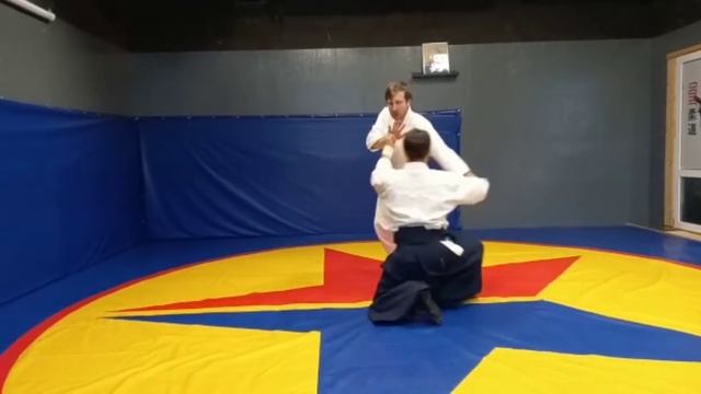 Техника Айкидо Кайтэн нагэ в положении ханми хандачи смотреть онлайн