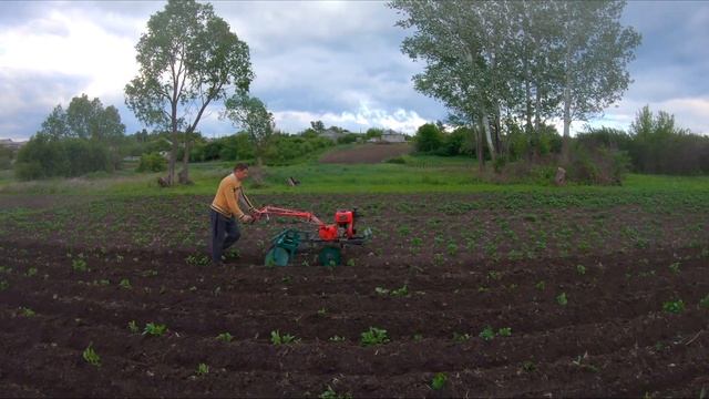 ОКУЧИВАНИЕ КАРТОФЕЛЯ МОТОБЛОКОМ ПО МОКРОЙ ЗЕМЛЕ смотреть онлайн